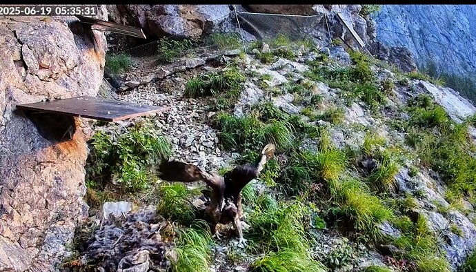 Screenshot_2025-06-19-05-35-34-180_com.android.chrome