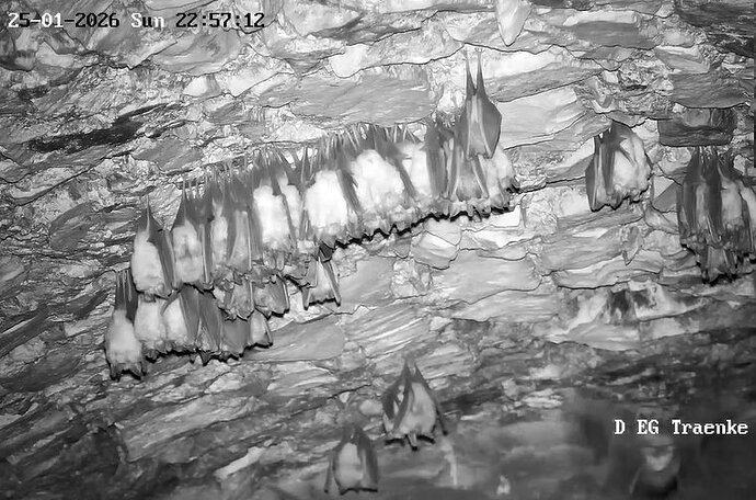 2026-01-25_8 ab 22.00 zwei IA und fliegende Hufi