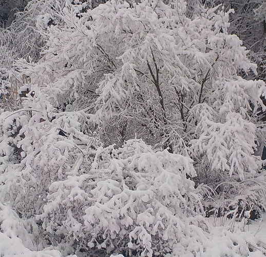 Snap_2026.02.20_08h01m23s_006_