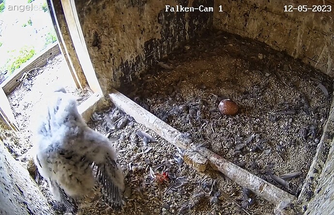 2023-05-12 17_39_45-Clipboard-01