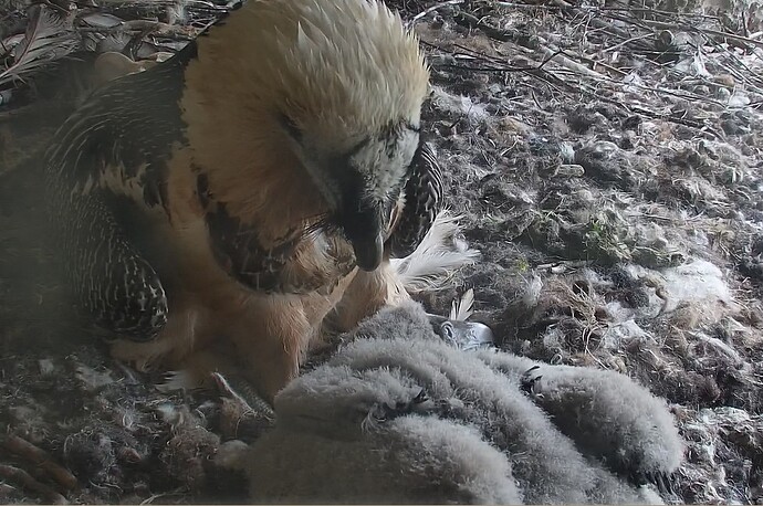 Ankuscheln bei Mama 08.04.24