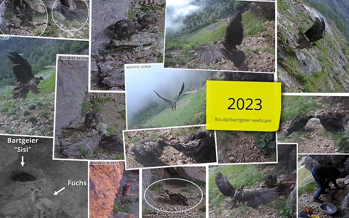 2023_Bilder_des_Jahres_02