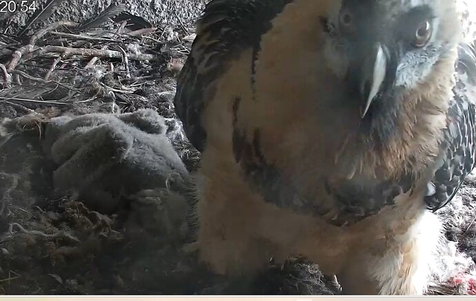 Alle Fix und Fertig 28.03.24