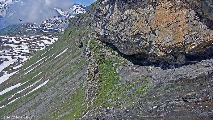 Bildschirmfoto vom 2024-06-16 11-53-19a