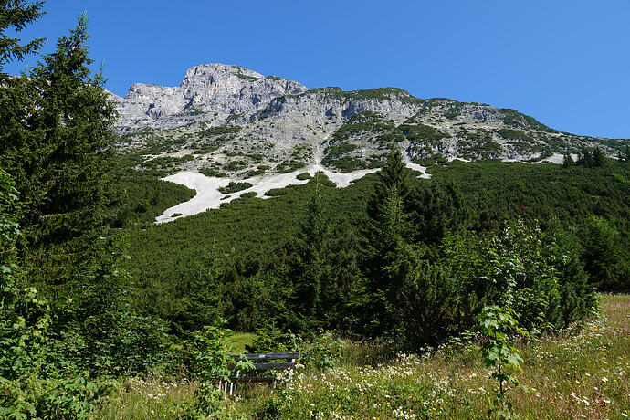DSC03829