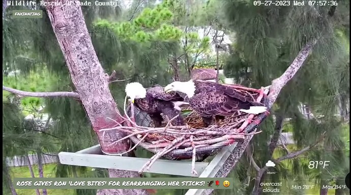 Screenshot_20230929_213213_YouTube