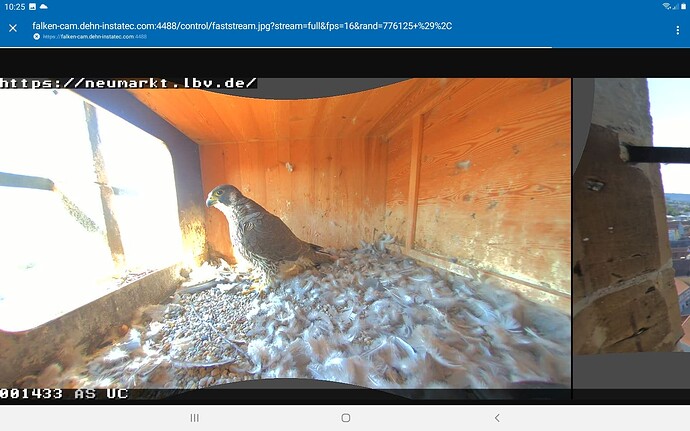 Screenshot_20250509-102557_Chrome