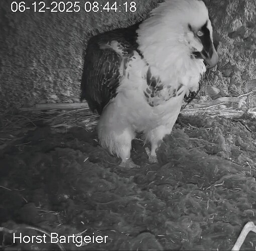 Screenshot_2025-12-06-08-45-22-258_com.android.chrome~2