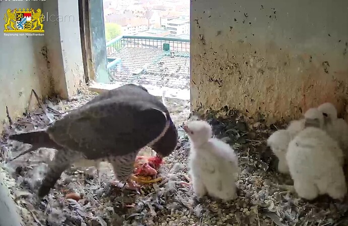 Screenshot_20230419-075734~2