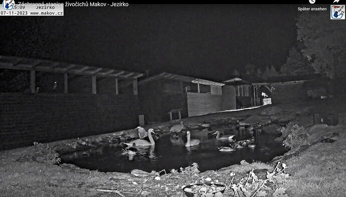 Snap_2023.11.07_18h35m49s_010_