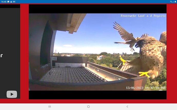 Screenshot_20230613-164638_Chrome