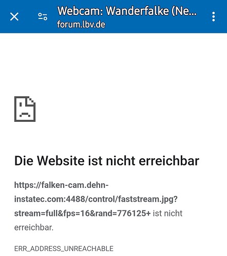 Screenshot_20240417_124531_Chrome