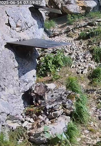 Screenshot_20250614_075934_Edge