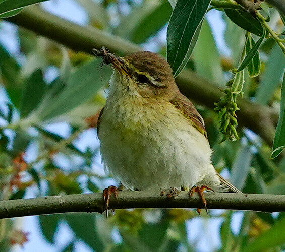 DSC03545