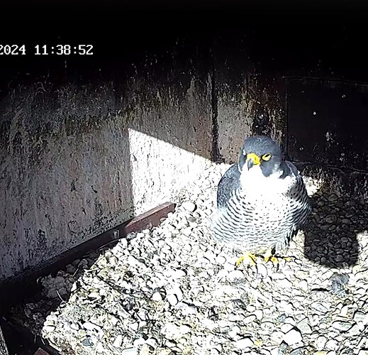 Screenshot_20240205-113556~2