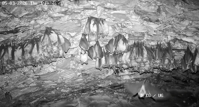 2026-03-05_2b ab 17.00 halbwache Hufi in Keller, geschafft