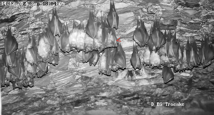 Vollbildaufzeichnung 14.12.2025 180418