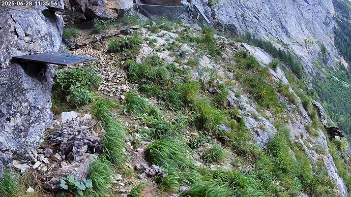 Bildschirmfoto vom 2025-06-28 11-36-23