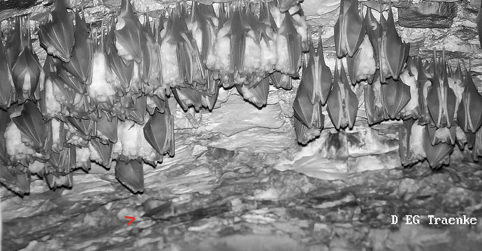 2025-12-06 Wimpi kriecht zum Versteck 1