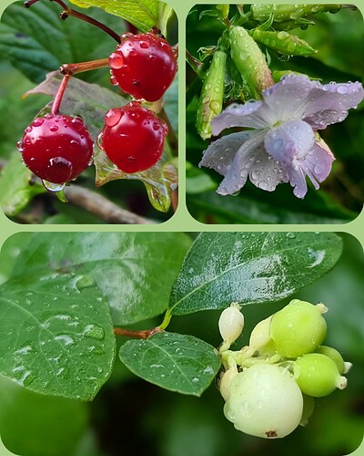 Polish_20250909_211645315