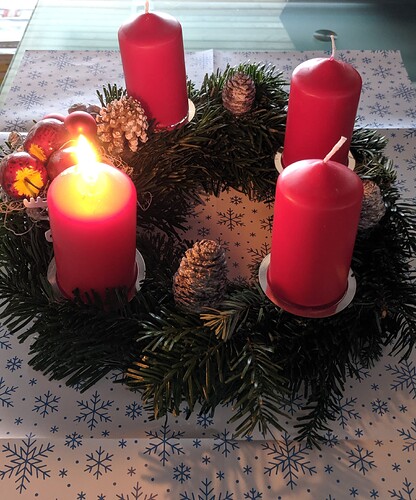 IMG_20231203_105458~2