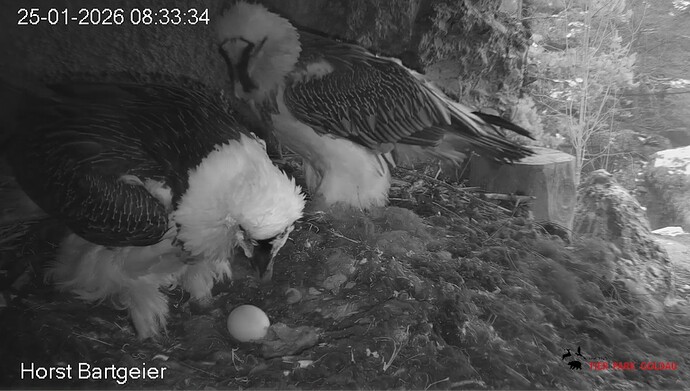 Schichtwechsel 25.01.26