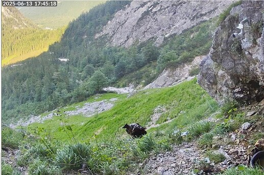 Bild 13.06.25 um 17.45