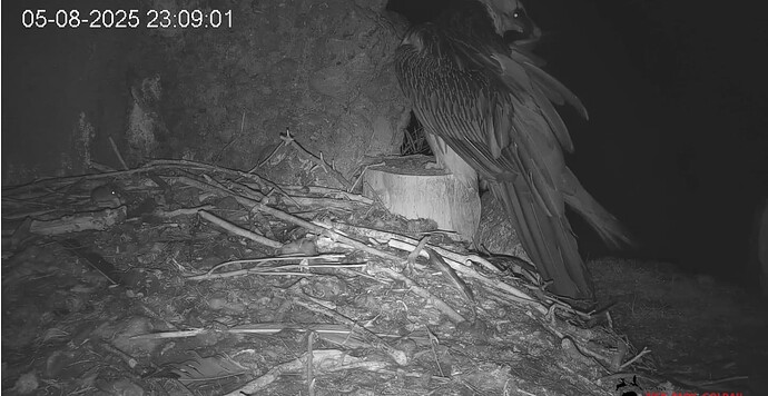 Screenshot_20250805-231005~2