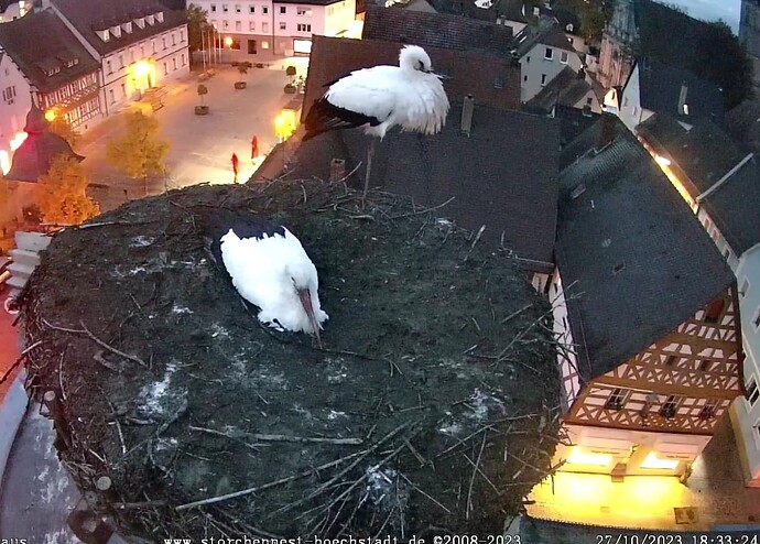 Screenshot_20231027-183350~2