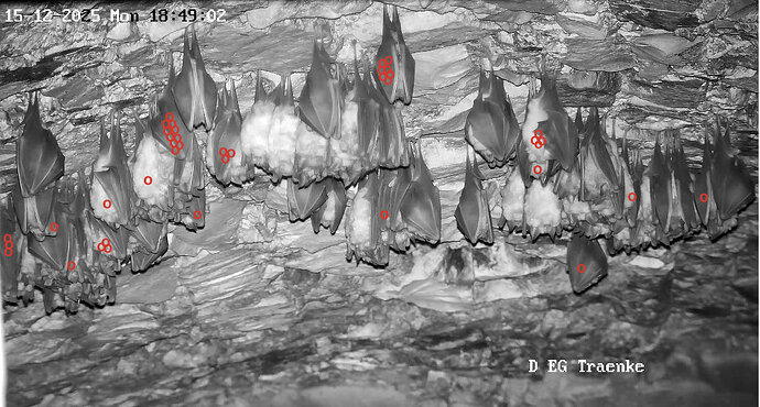 Vollbildaufzeichnung 15.12.2025 184908