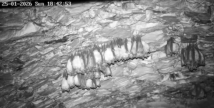 2026-01-25_5 ab 18.00 1. Gruppe