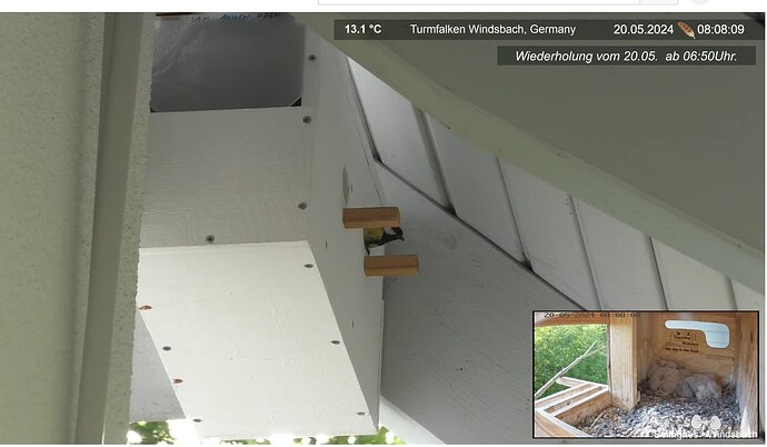 Screenshot 2024-05-20 112934