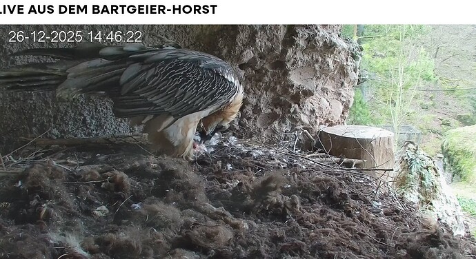 Screenshot_20251226-144737~2