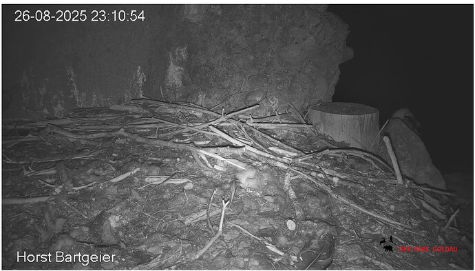 Screenshot_20250826-231159~2