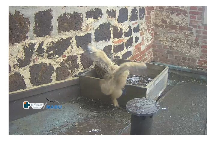 Screenshot_20230511_164429_Samsung Internet