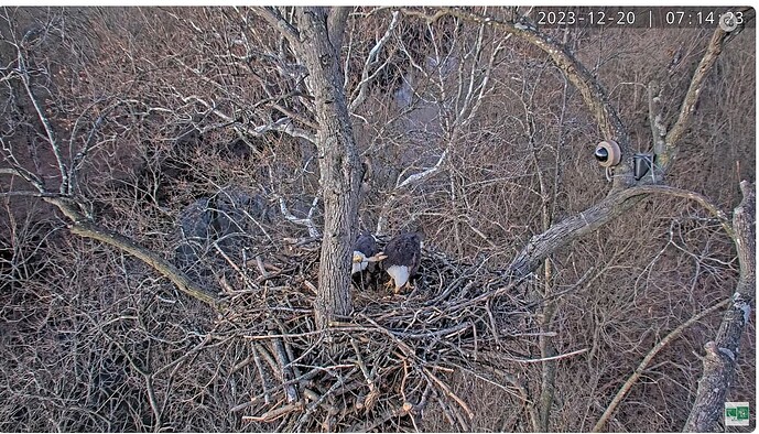 Screenshot 2023-12-20 190214