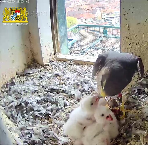 Screenshot_20230414-122511~2