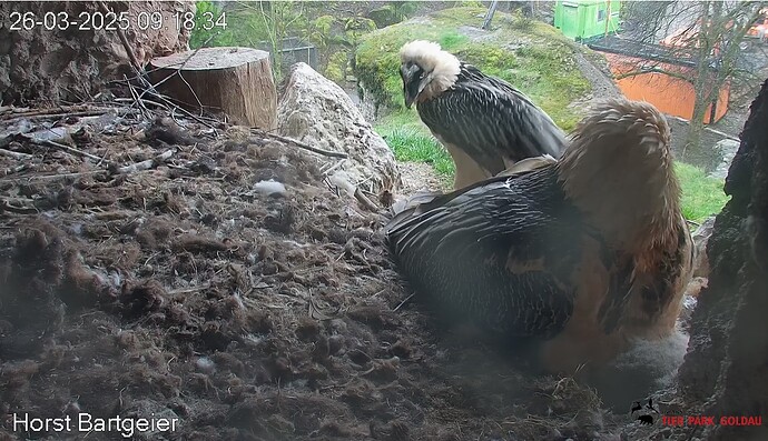 Bewegung 26.03.25