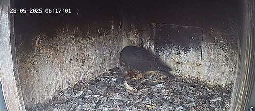 Snap_2025.05.28_07h12m50s_003_