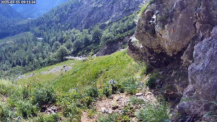 Bildschirmfoto vom 2025-07-15 09-11-58