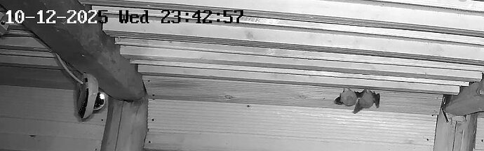 Vollbildaufzeichnung 10.12.2025 234309