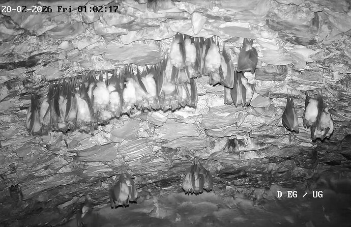 2026-02-20_1 ab 01.00 Cluster re und kurze Interaktion 3 Hufis