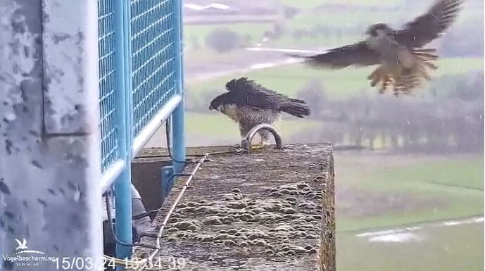 Snap_2024.03.15_13h39m51s_012_