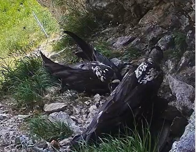 Generl und Luisa 26.06.25