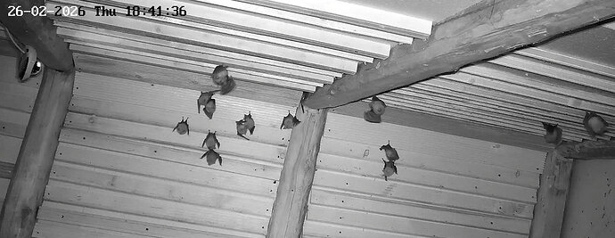 2026-02-26_2 ab 18.00 Aufbau Cluster 1