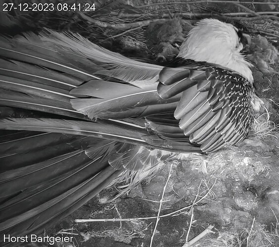 Screenshot_2023-12-27-08-42-41-637_com.android.chrome