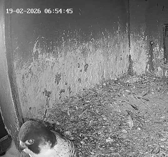 Screenshot_2026-02-19-06-48-10-748_com.android.chrome~2