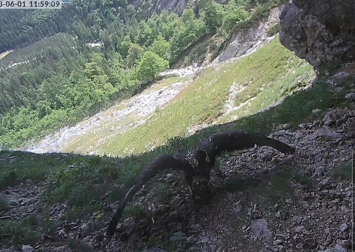 VideoCapture_20230601-120517