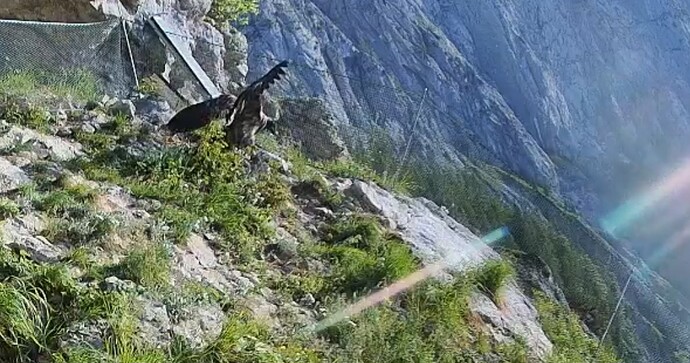 Screenshot_20250615_064049_Firefox