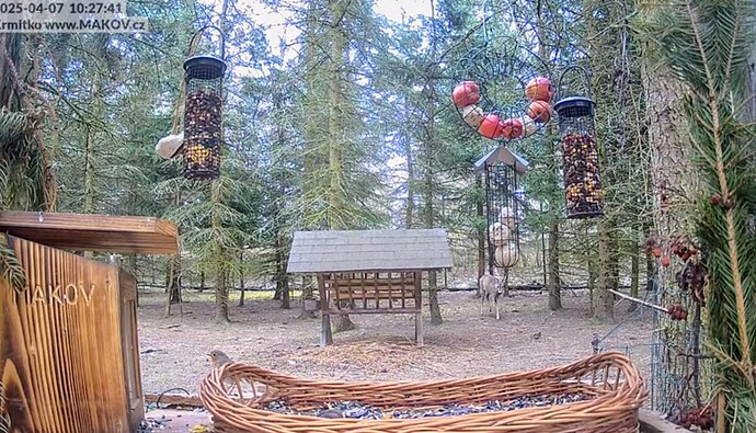 Screenshot_2025-04-07-10-28-01-702_com.google.android.youtube